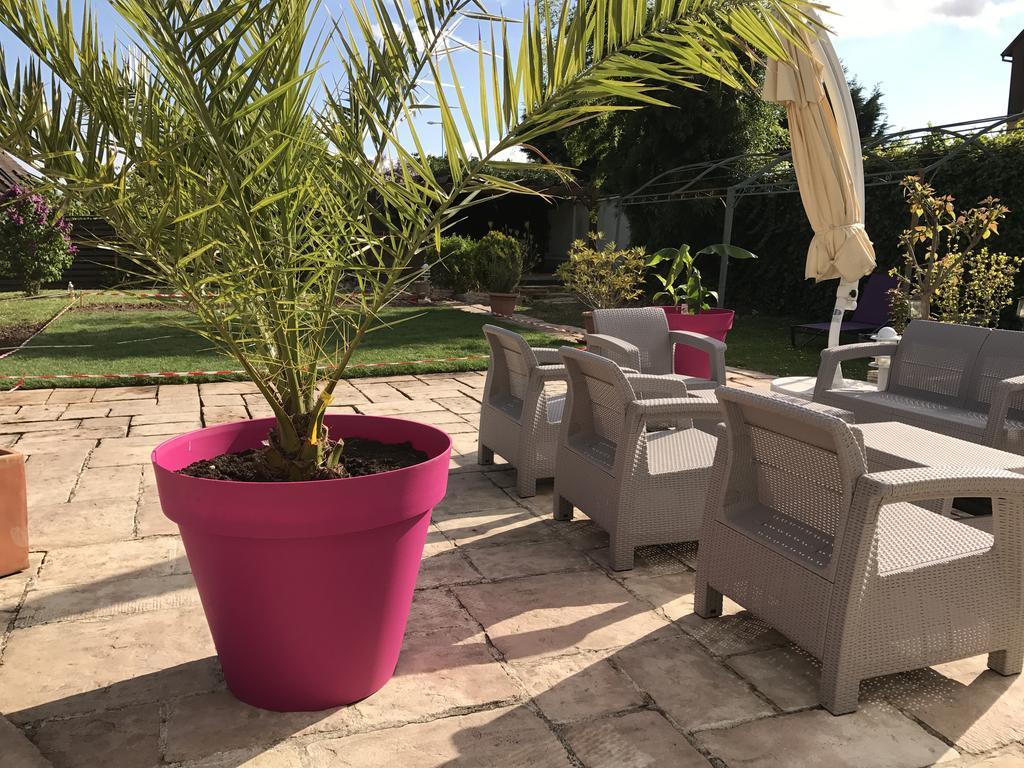 Gite De La Route Du Vin Ribeauvillé Εξωτερικό φωτογραφία